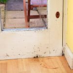 mold on wood door and baseboard