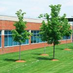 5 Ways to Get Your Property Ready for Summer