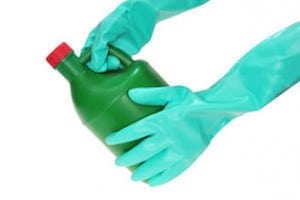Does bleach kill mold?