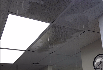 The Story of a Water Loss Emergency