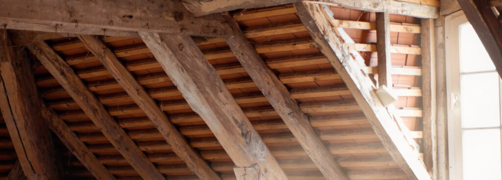 Preventing mold in new construction and remodeling