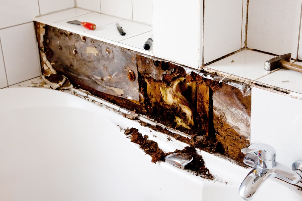 Prevent Mold From Taking Hold in your Office Building.