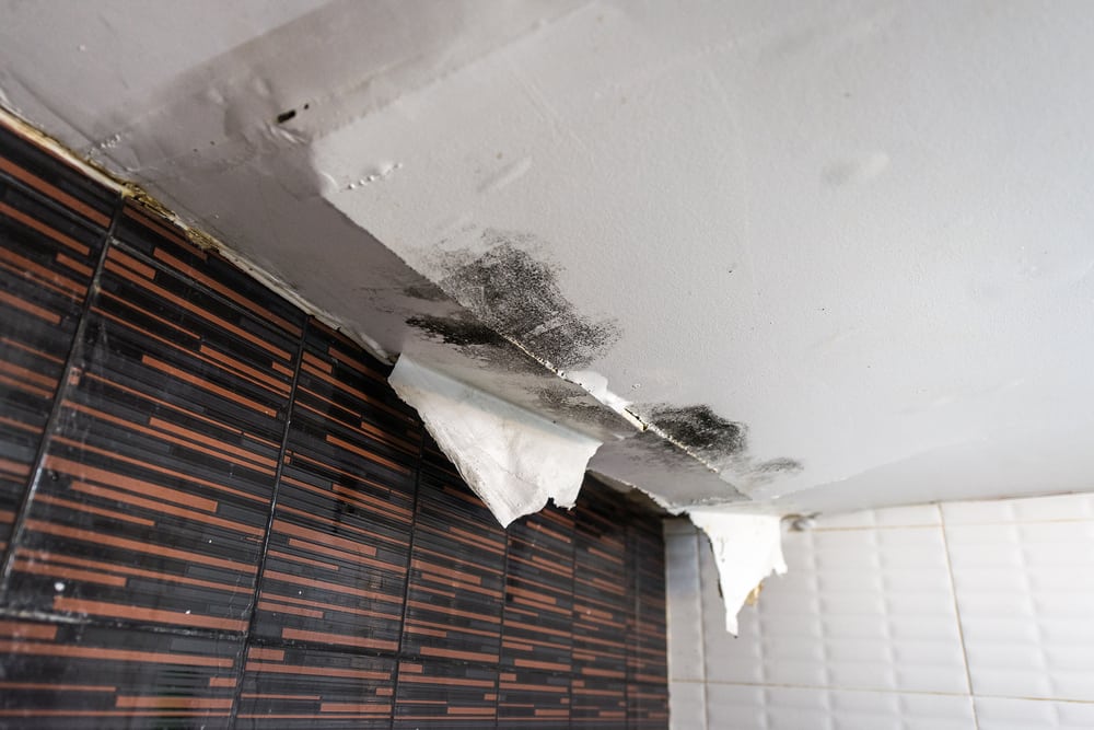 Keep the Sky from Falling – Watch for these Common Causes of Ceiling Damage