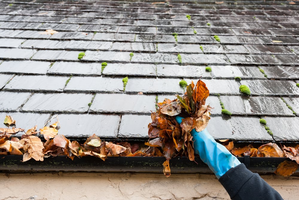 11 Fall Chores You Can Complete Fast