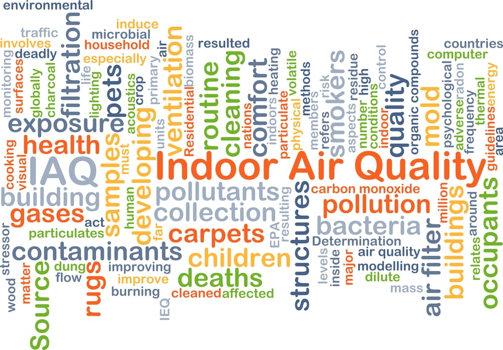 Breathe Easier by Ridding Your Home of Indoor Air Pollution