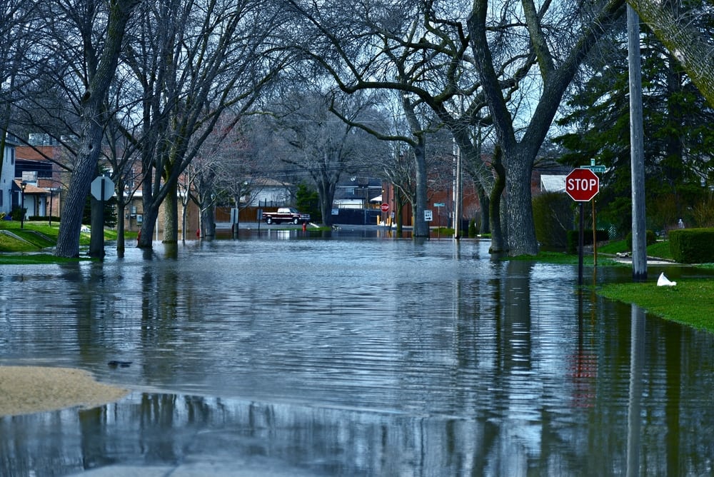 Is Water Damage Cleanup In Your Future? Watch For These Signs