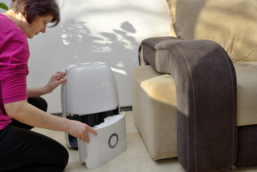 Dehumidifier freezing over? It may be time for a deep cleaning!