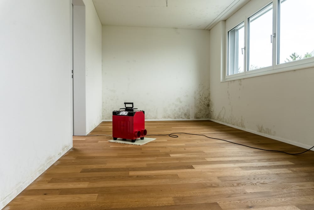 Is it too humid inside your home? You may need a dehumidifier!