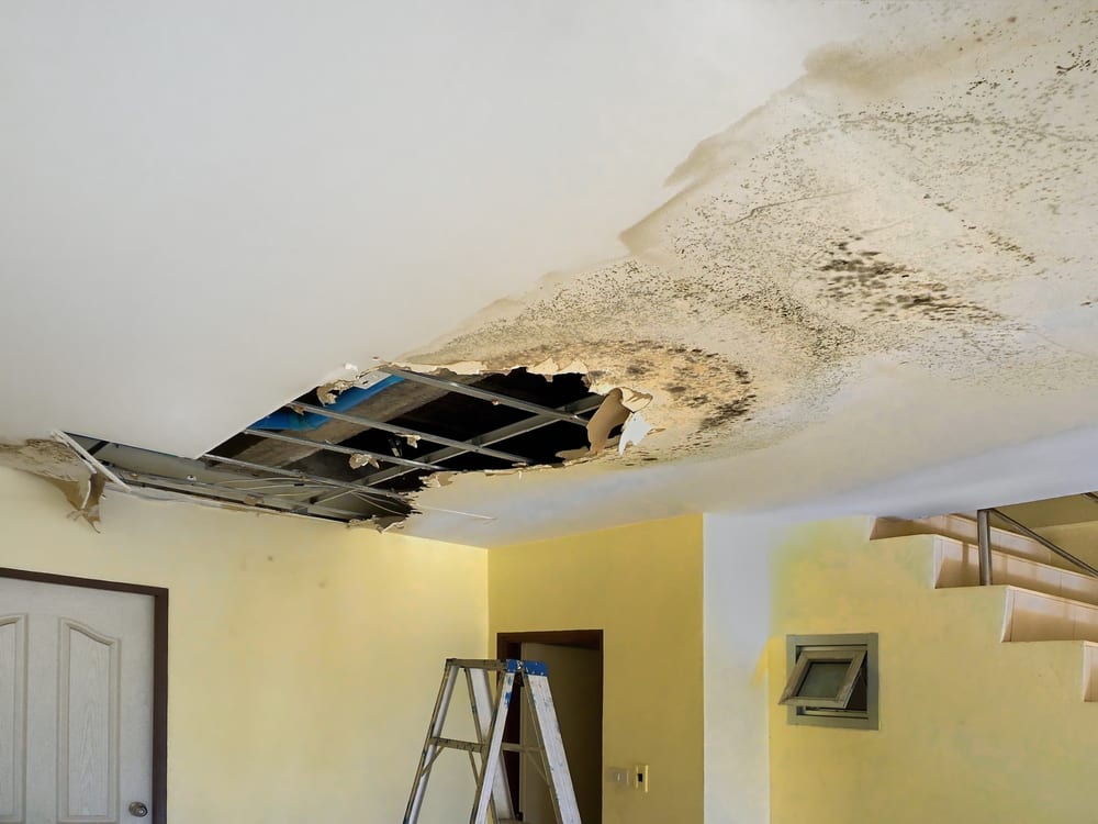Mystery Solved! Water Leaks In My Kitchen