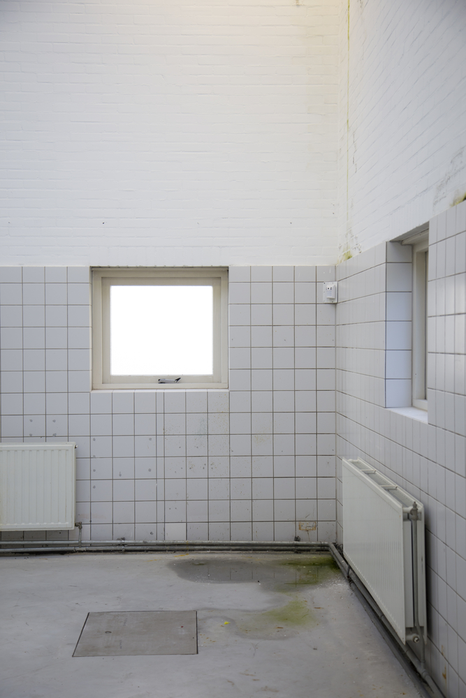 How to Prevent Mold in Your Office Building