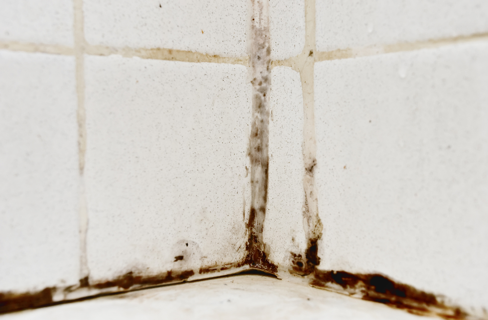 How to Treat Black Mold in Your Bathroom