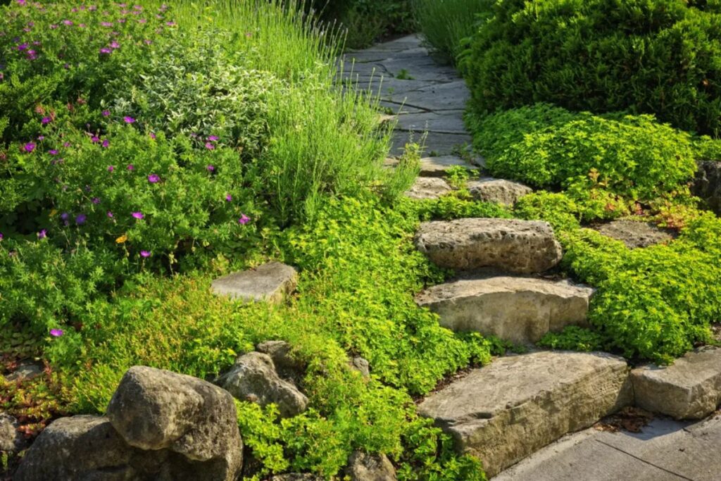 Why Autumn in Wisconsin is the Perfect Time to Create a Rain Garden