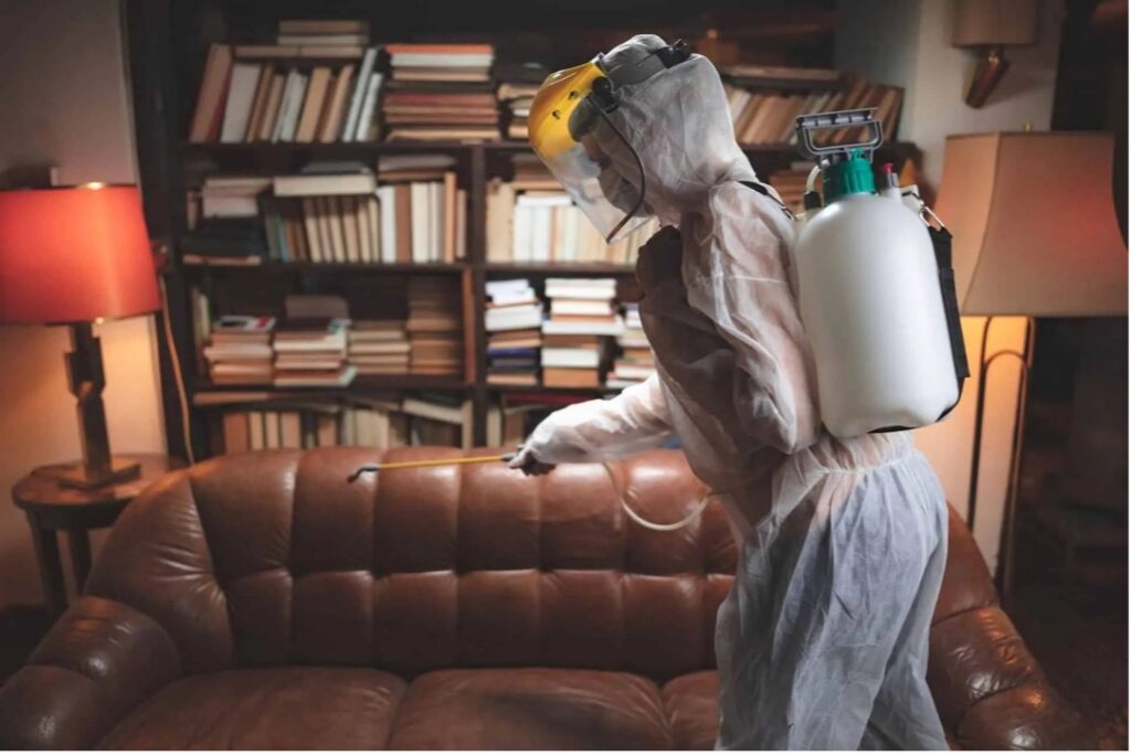 Debunking Myths About Property Restoration Services