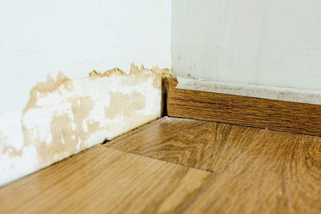 How to Prevent Mold Growth in Your Home During Winter