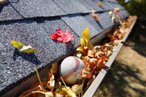 Keep-gutters-free-from-debris-to-prevent-ice-dams-from-forming-and-to-prevent-mold-from-growing