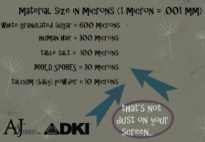 breakdown of how small a mold spore is