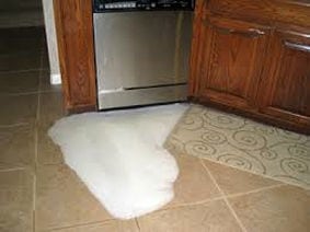 leaking dishwasher