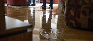 water damage restoration service, water damage clean up service