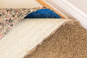 Carpet mold from water damage along baseboards