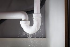 sources of water leak that may lead to pest infestations | services by A&J Property Restoration DKI of Madison, Middleton, Sun Prairie, Portage, Waunakee, Milwaukee, WI Dells, Fort Atkinson, Watertown, and Waukesha, Wisconsin