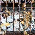 keep grill grates and fuel source clean by regularly cleaning up grease, and removing food droppings, and debris to avoid fire | services by A&J Property Restoration DKI of Madison, Middleton, Sun Prairie, Portage, Waunakee, Milwaukee, WI Dells, Fort Atkinson, Watertown, and Waukesha, Wisconsin