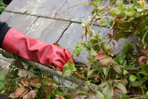Water Damage Prevention