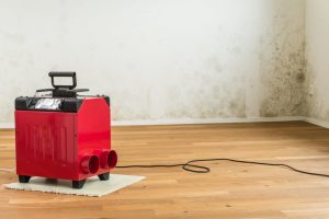 dehumidifier being used after mold issue dehumidifier being used after mold issue