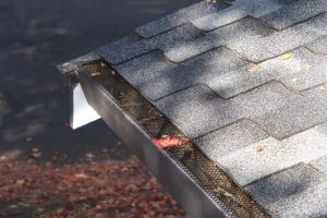 gutter system clogged with leaves 